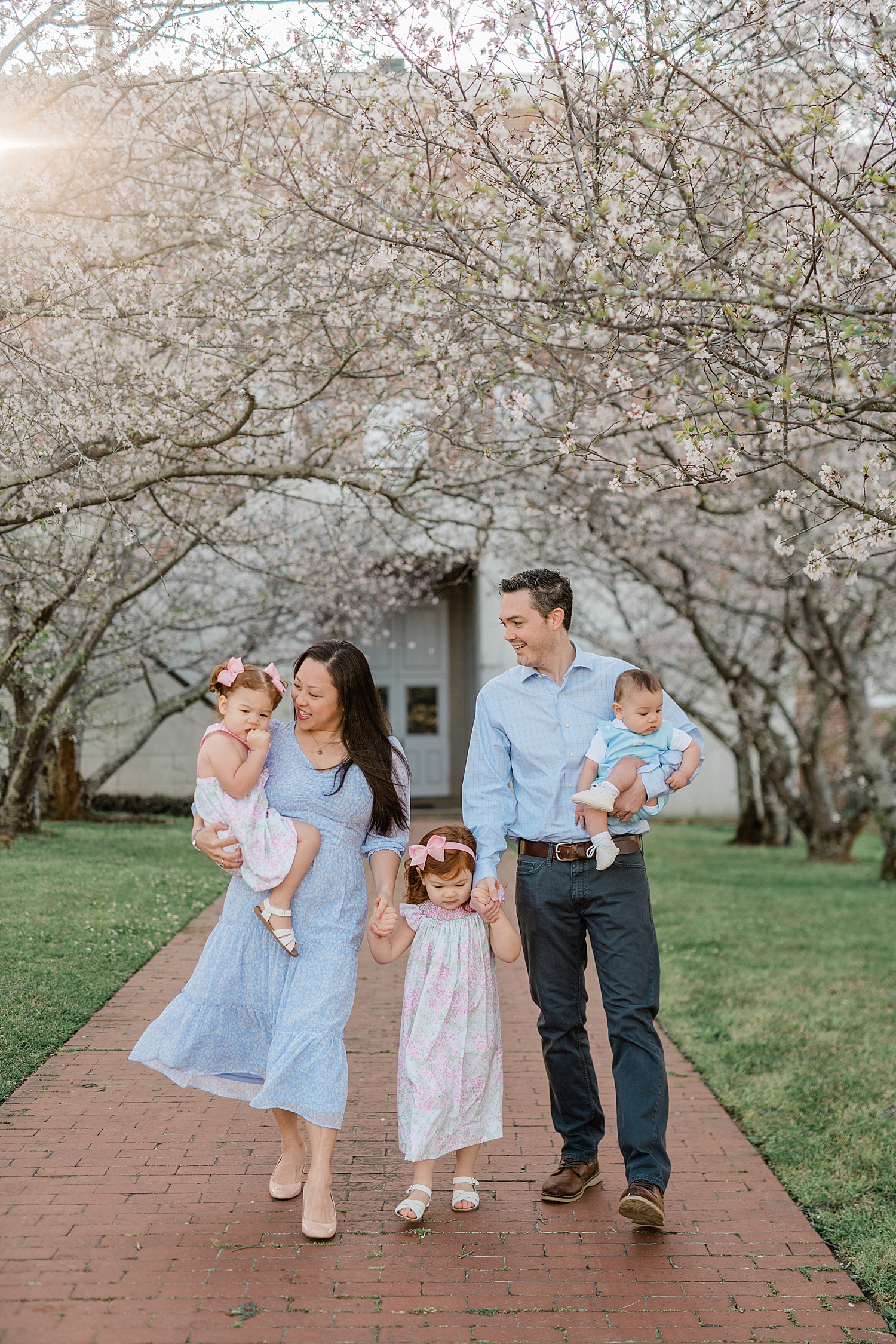 Cherry Blossom Family Pictures