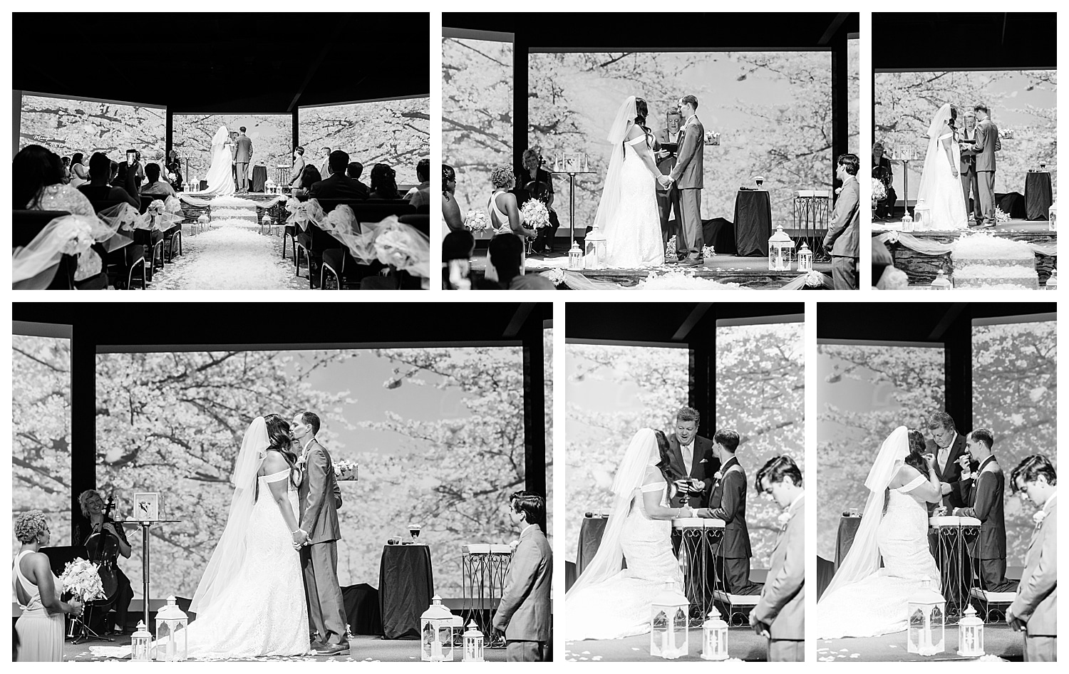 Star Wars Themed Summer Wedding