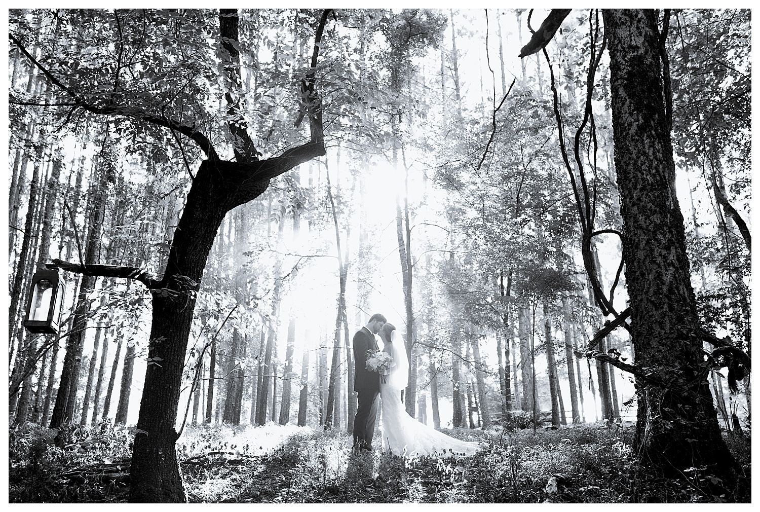 woodland-wedding-photographer-the-corry-house-wedding-venue