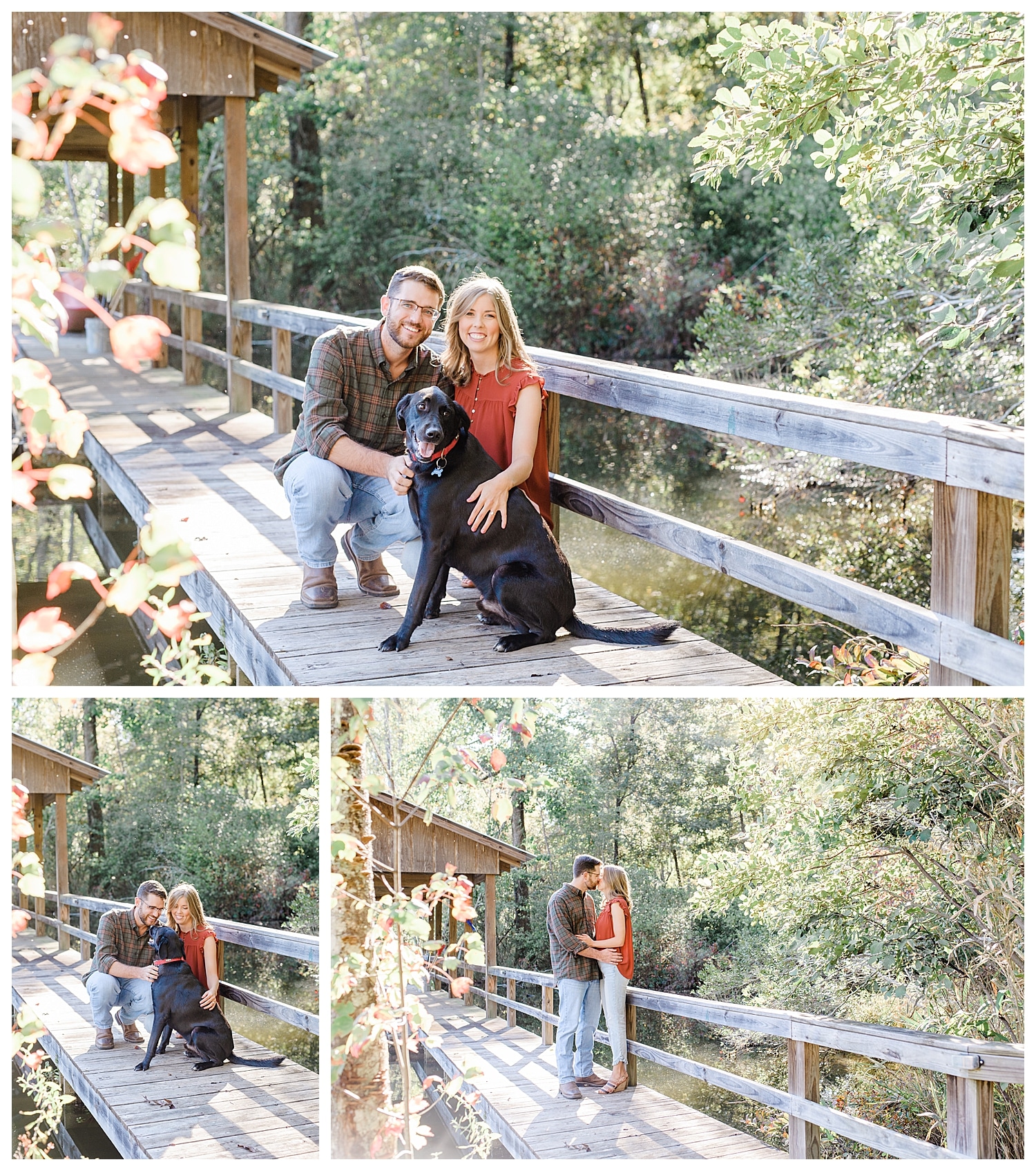 engagement pictures with dog