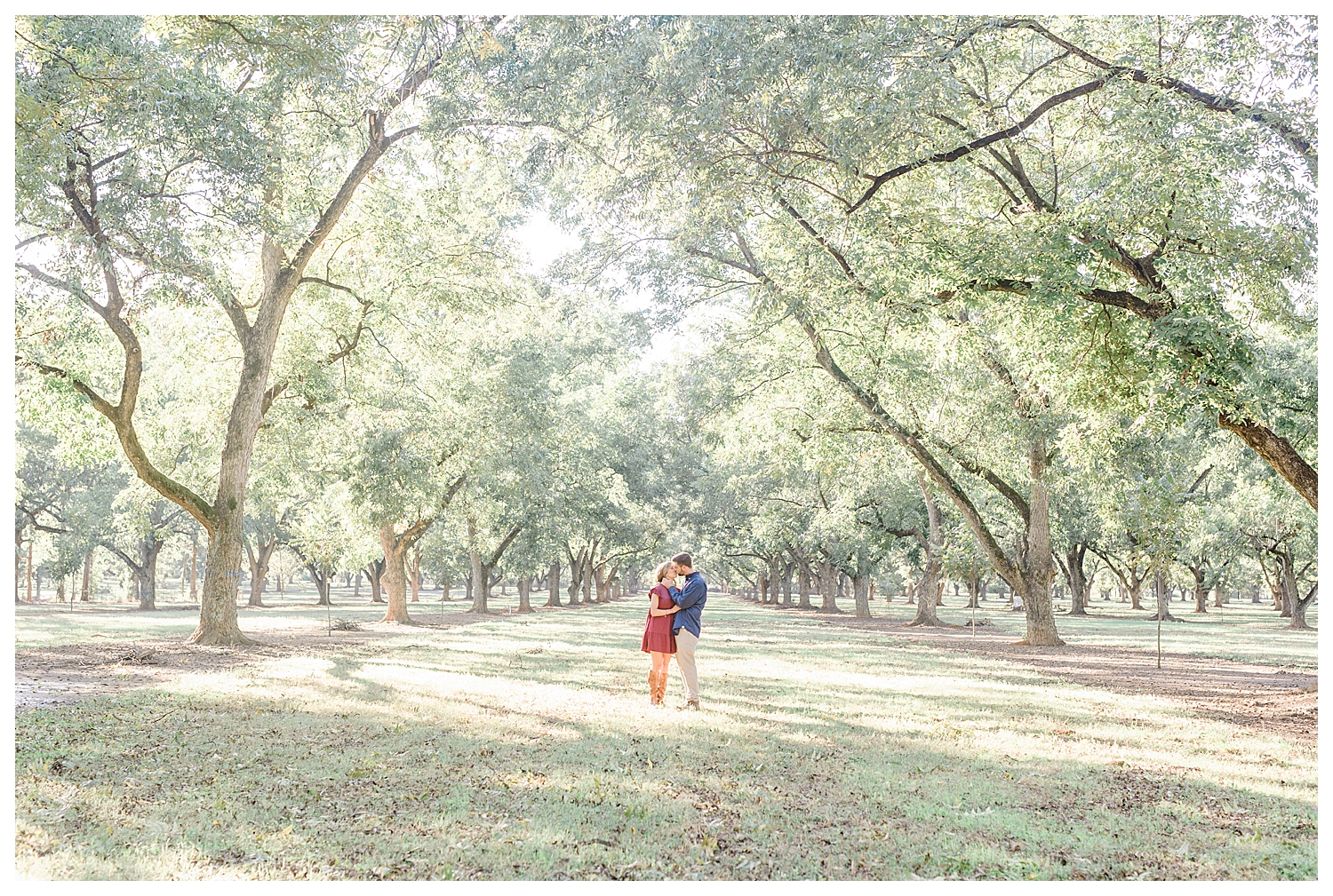 engagement pictures with dog