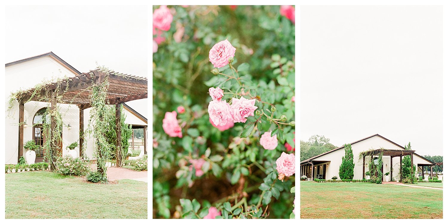 Tryphena's garden wedding