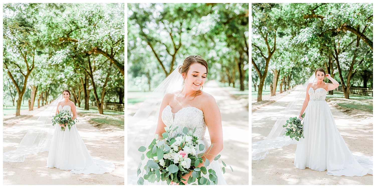 Elegant Wedding at Southern Bridle Farms