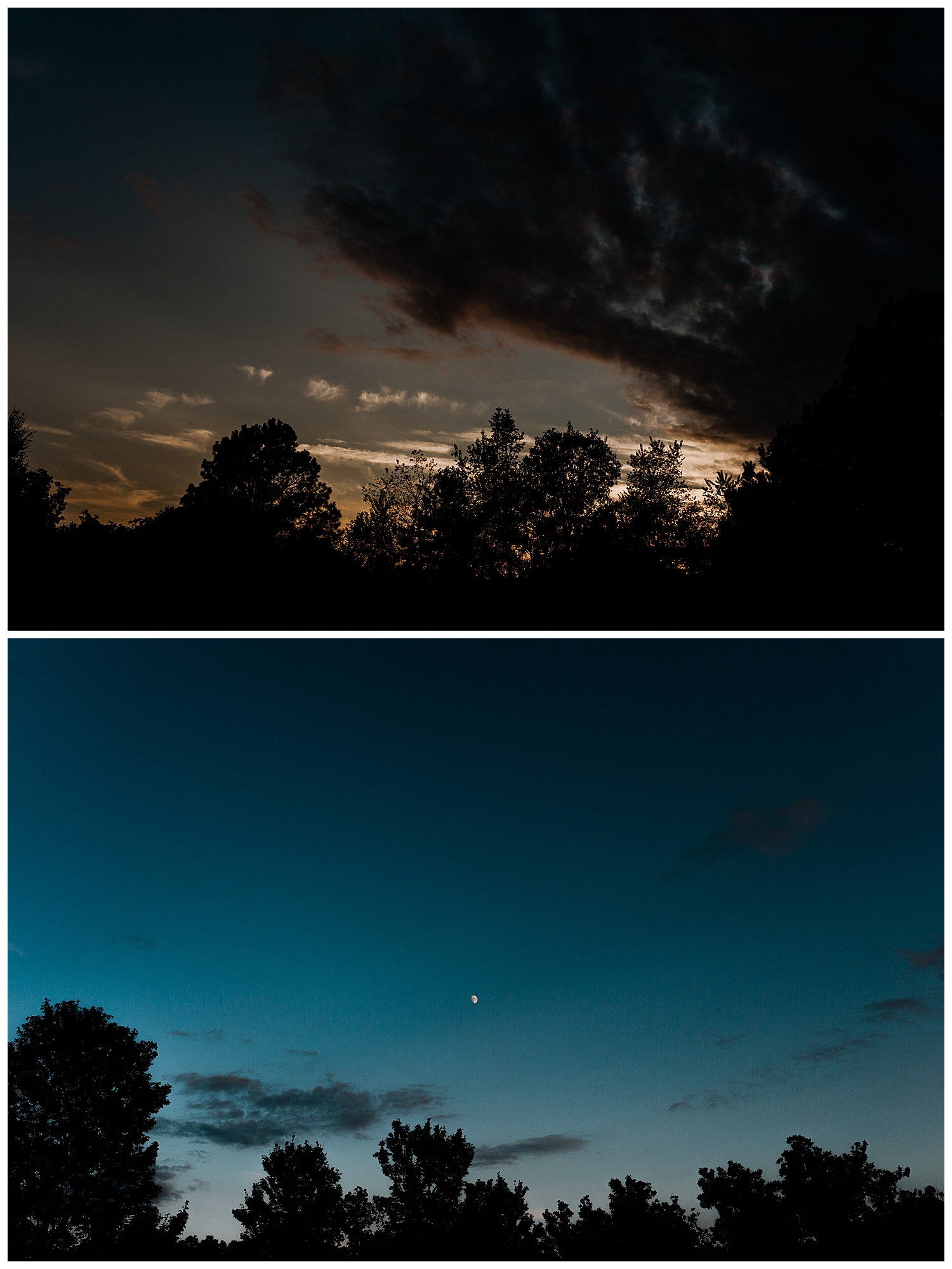 Elegant Wedding at Southern Bridle Farms