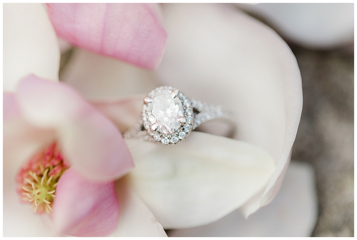 Savannah Wedding Photographer