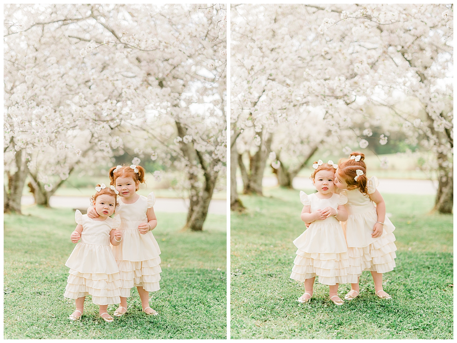 Photo Shoot in the Cherry Blossoms