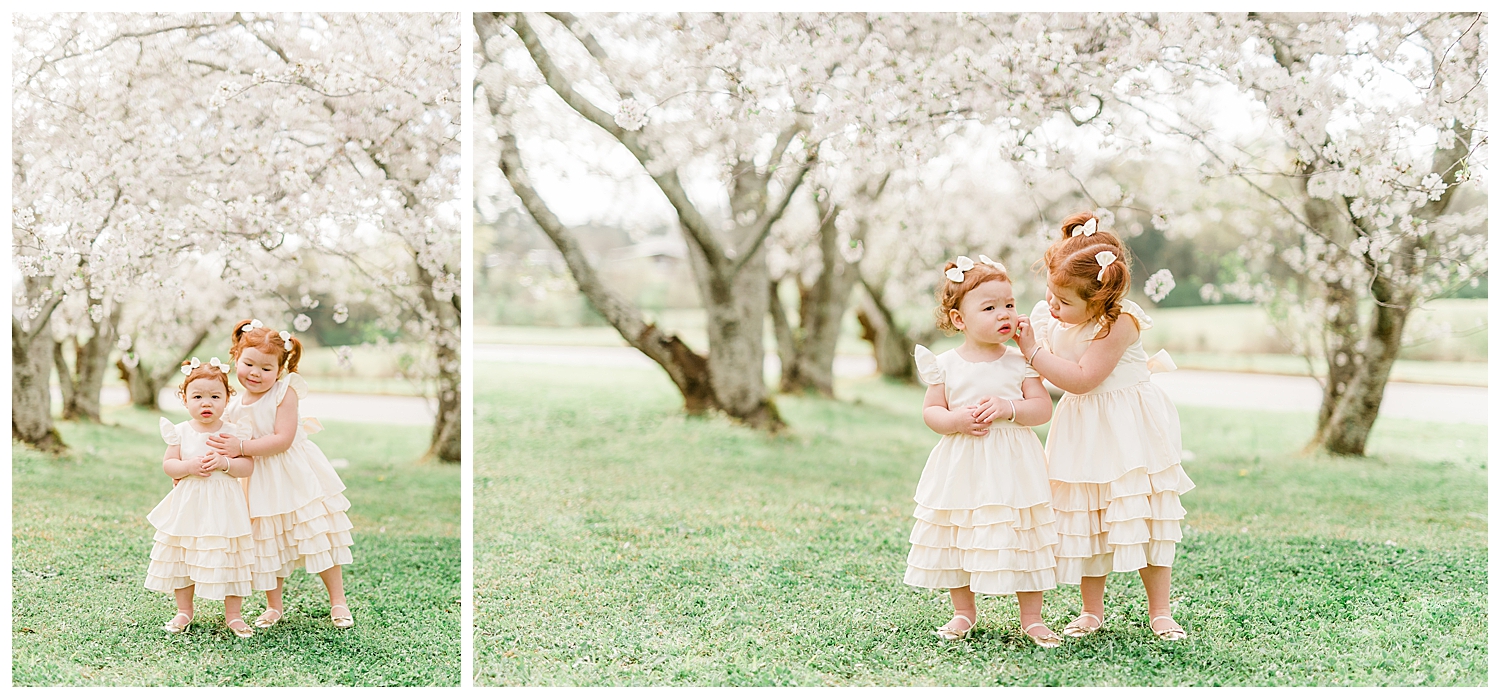 Photo Shoot in the Cherry Blossoms