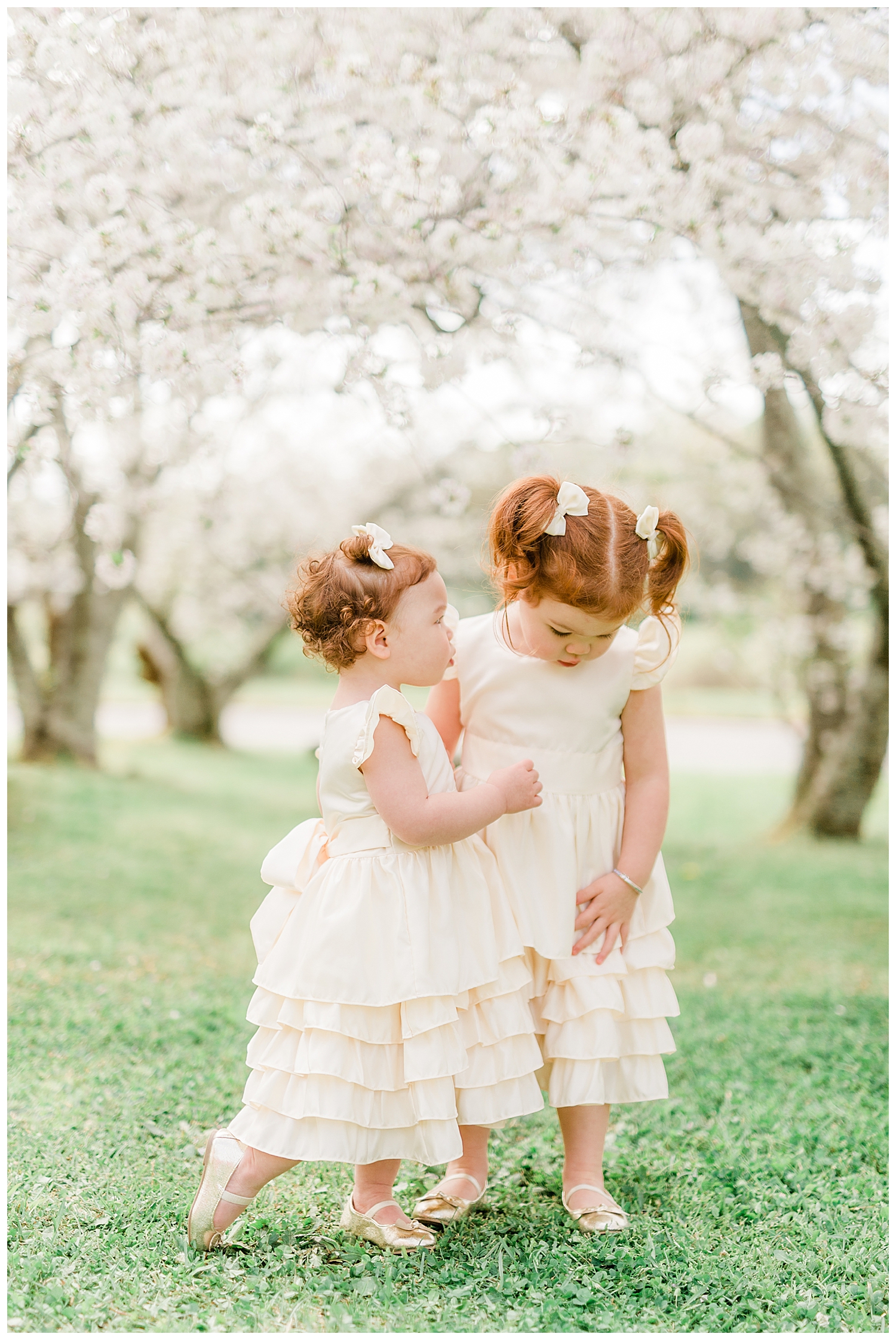 Photo Shoot in the Cherry Blossoms
