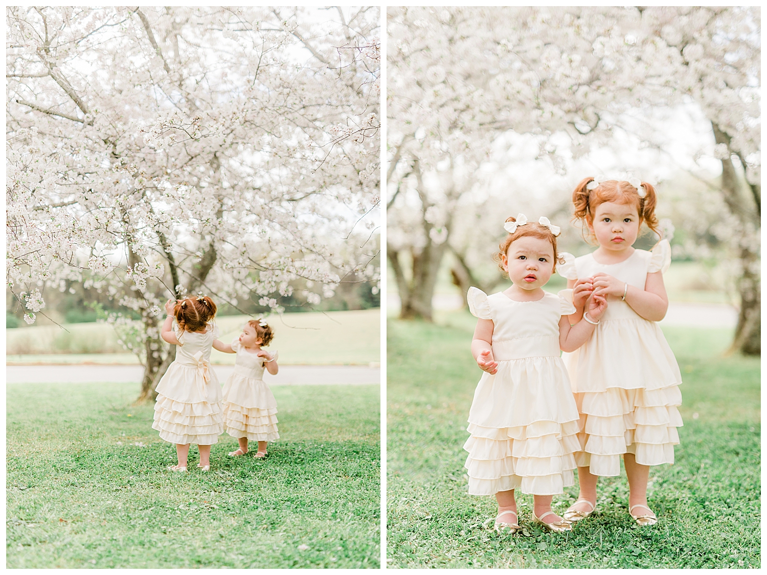 Photo Shoot in the Cherry Blossoms
