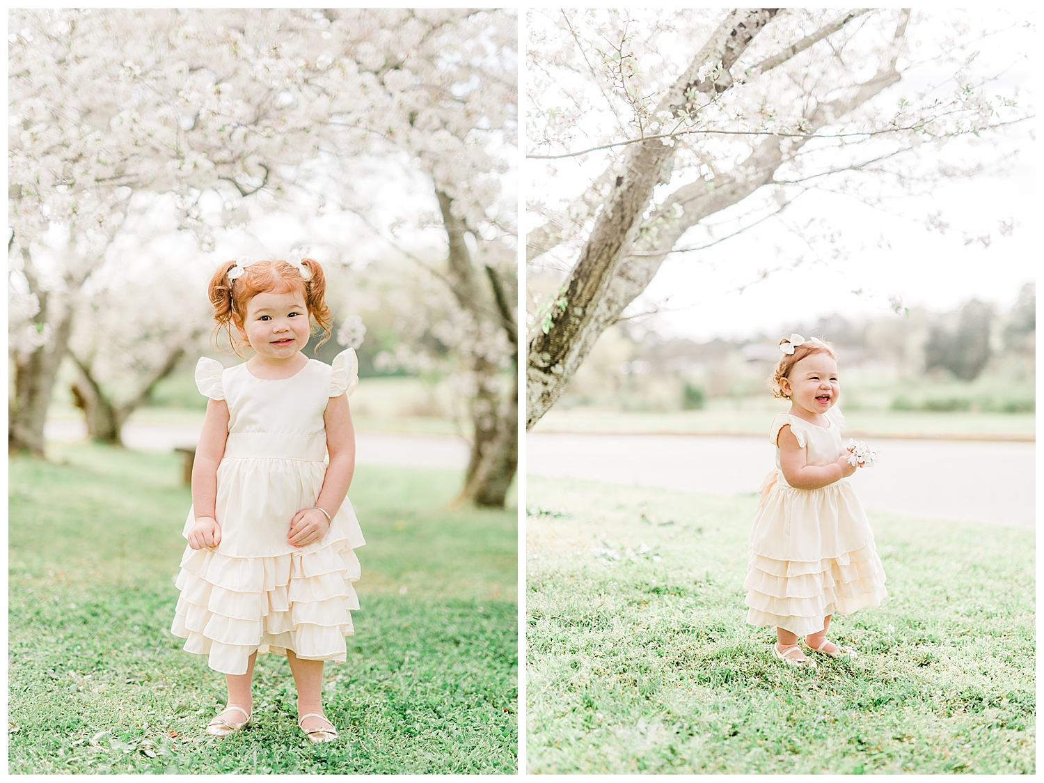 Photo Shoot in the Cherry Blossoms