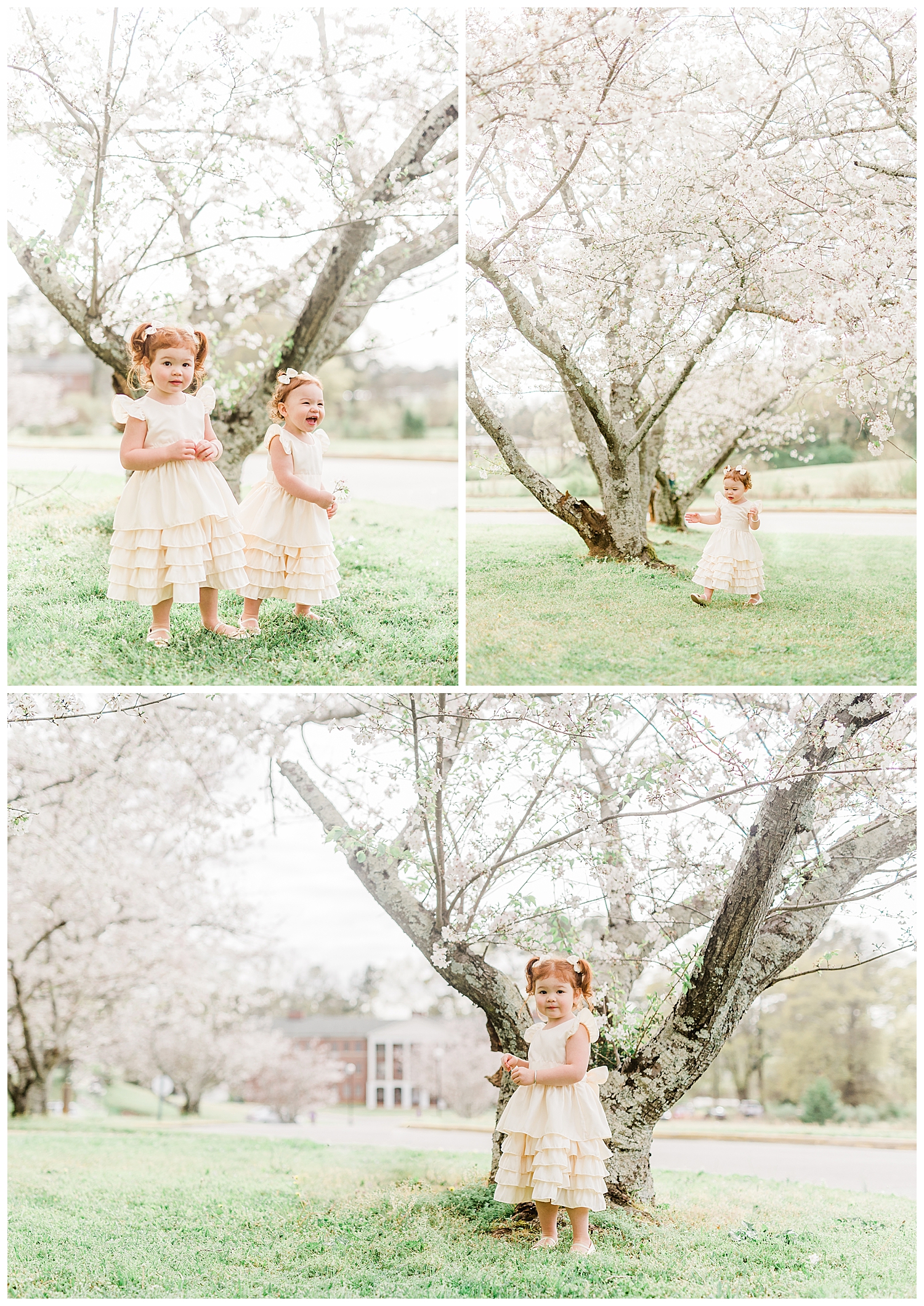 Photo Shoot in the Cherry Blossoms