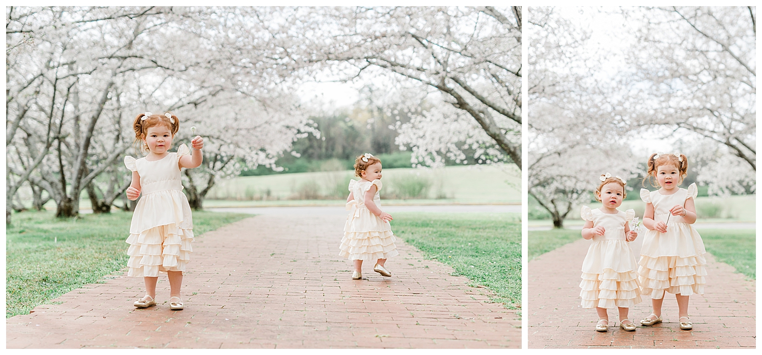 Photo Shoot in the Cherry Blossoms
