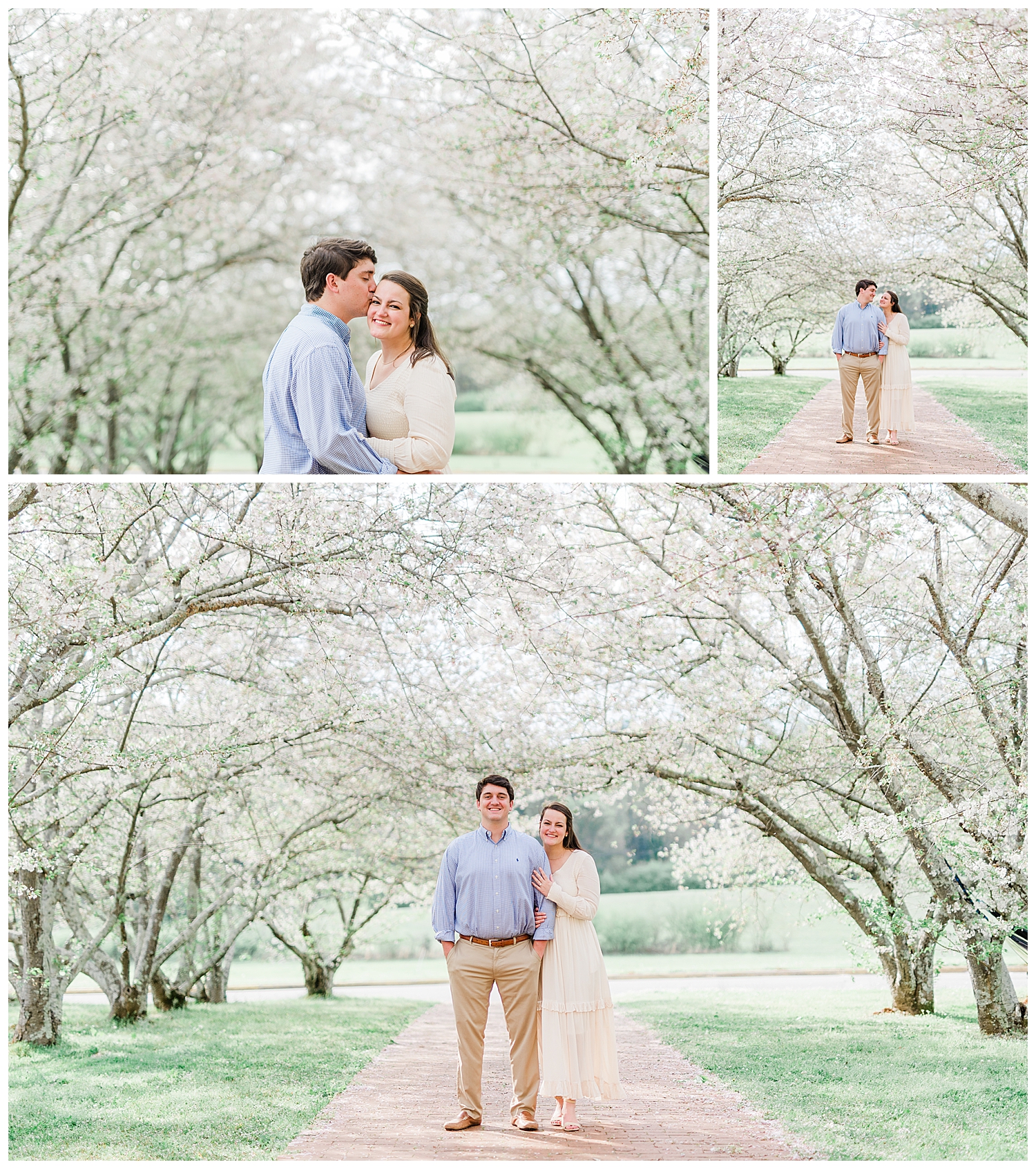 Engagement Session in the Cherry Blossoms
